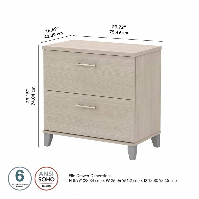 Bush Furniture Somerset 2 Drawer Lateral File Cabinet with Storage