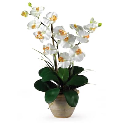 Silk Orchid Arrangement - Double Stem Vintage Vogue Flowers in Ceramic Vase - Home Decor - 25