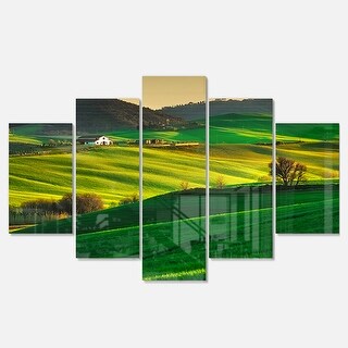 Designart 'Trees and Farmland Near Volterra' Extra Large Landscape ...