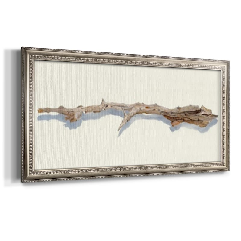 Driftwood Study I Premium Framed Canvas- Ready to Hang