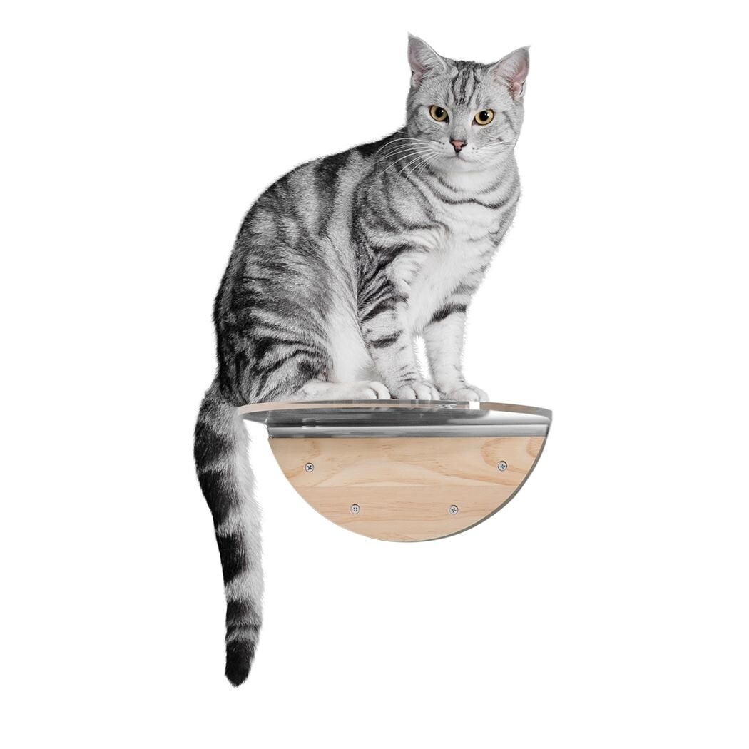 Myzoo Round Lack Clear 1 Pcs Wall Mounted Cat Shelves With Transparent Board Beige Overstock 31938479 Shop with afterpay on eligible items. myzoo round lack clear 1 pcs wall mounted cat shelves with transparent board beige