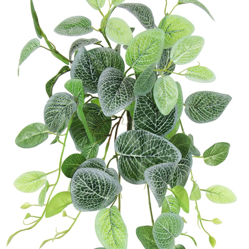 Artificial Fittonia Ivy Leaf Vine Hanging Plant Greenery Foliage Bush 24in - 24" L x 12" W x 6" DP