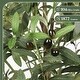 preview thumbnail 12 of 11, Faux Tree Indoor Artificial Olive Tree with Leaves and Fruits