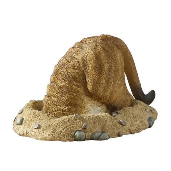 Meerkat Coming Out of a Hole - N/A