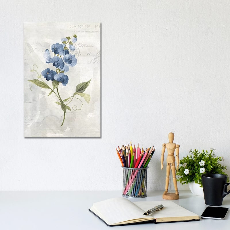 iCanvas "Blue Linen Sweet Pea" by Carol Robinson Canvas Print - 12x8x0.75