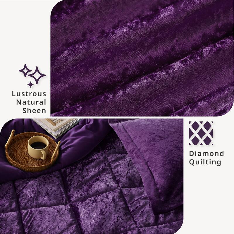 Intelligent Design Isabel Velvet Duvet Cover Set (Insert Excluded)
