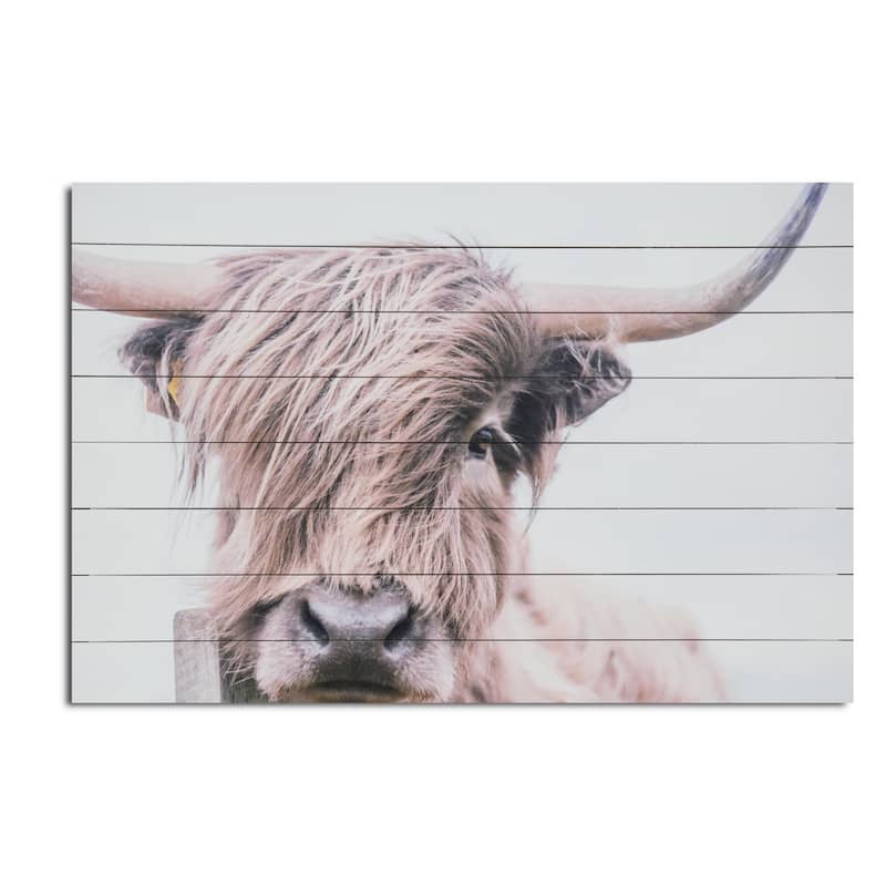 "Highland Cow" Photograph Print on Planked Wood Wall Art