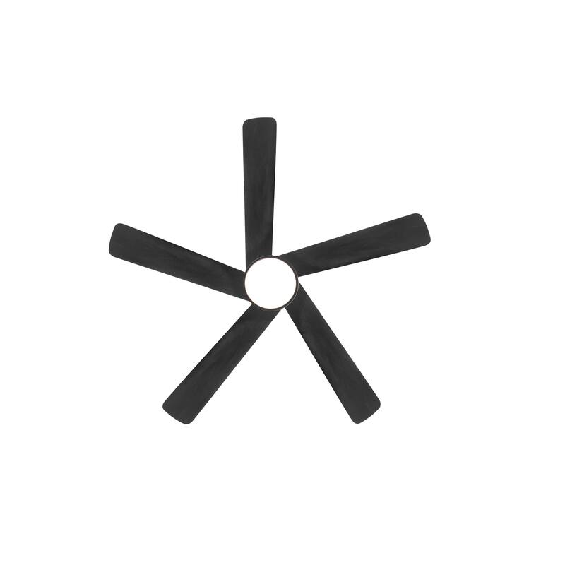WINGBO 54" and 64" 5 ABS Blades DC Motor Indoor Ceiling Fan with Light & Remote