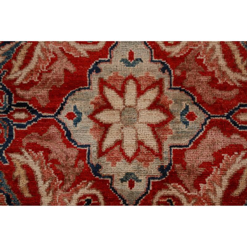 Vegetable Dye Ziegler Rug Handmade Traditional Wool Carpet - 9'0"x 12'2"