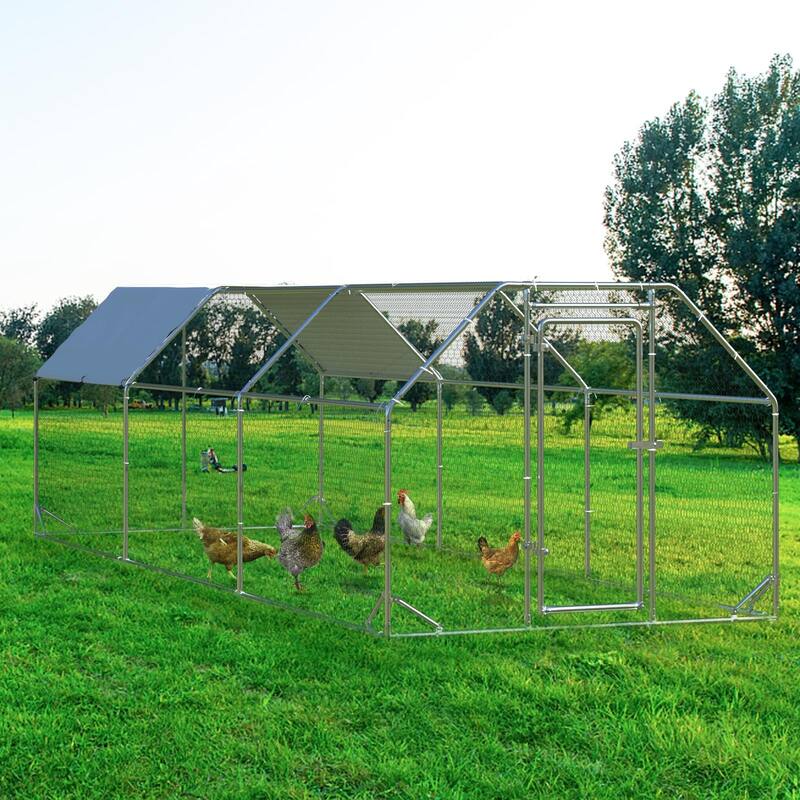BOSSIN Large Metal Chicken Coop Walk-in Poultry Cage Hen Run House with Waterproof for Outdoor Backyard Farm Use - 19.2*9.4*6.3