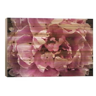 Pink Peony Passion III Print On Wood by Irena Orlov - Multi-Color