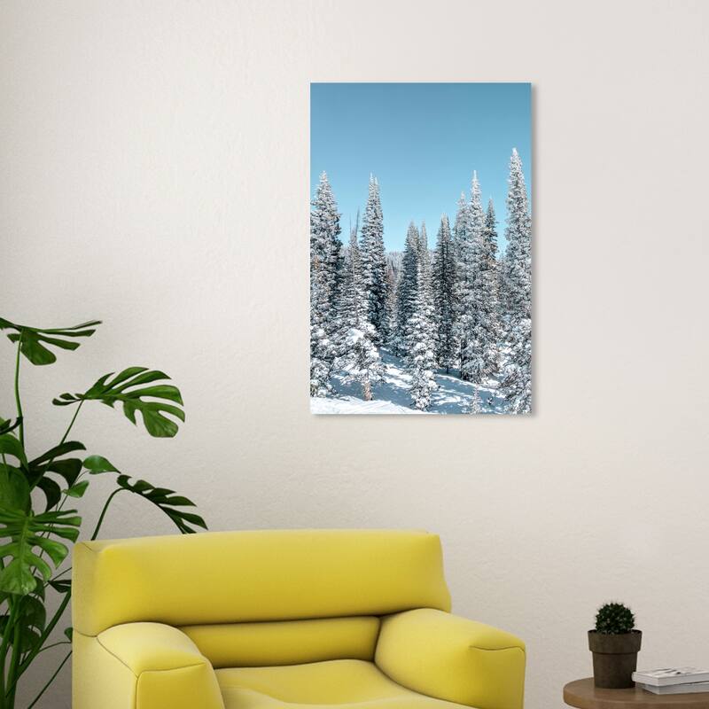 Wynwood Studio Canvas Floral and Botanical Its Cold Blue and Modern & Contemporary Wall Art Canvas Print - 30 x 20
