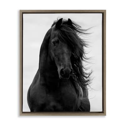 Stupell Black Stallion Horse Portrait Soft Grey Sky Photography Floater Frame