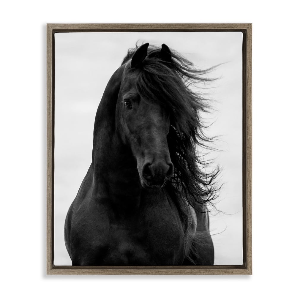 Stupell Black Stallion Horse Portrait Soft Grey Sky Photography Floater Frame