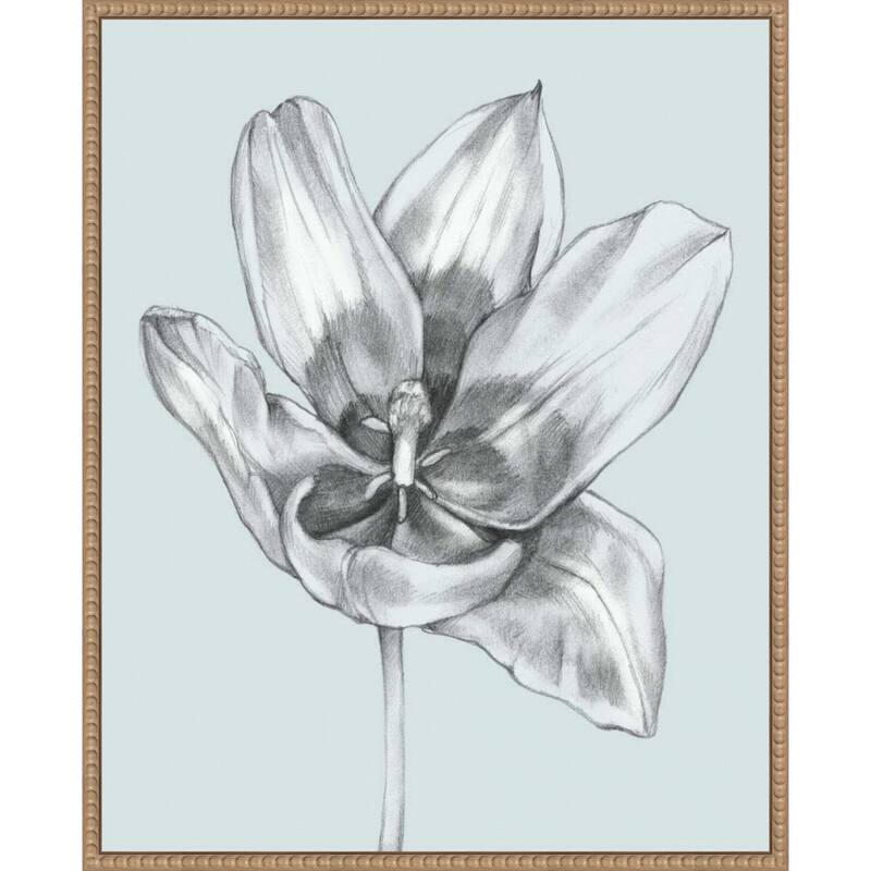Silvery Blue Tulips No. 2 by Jennifer Goldberger (23 x 28 in.), Framed Canvas Wall Art Print