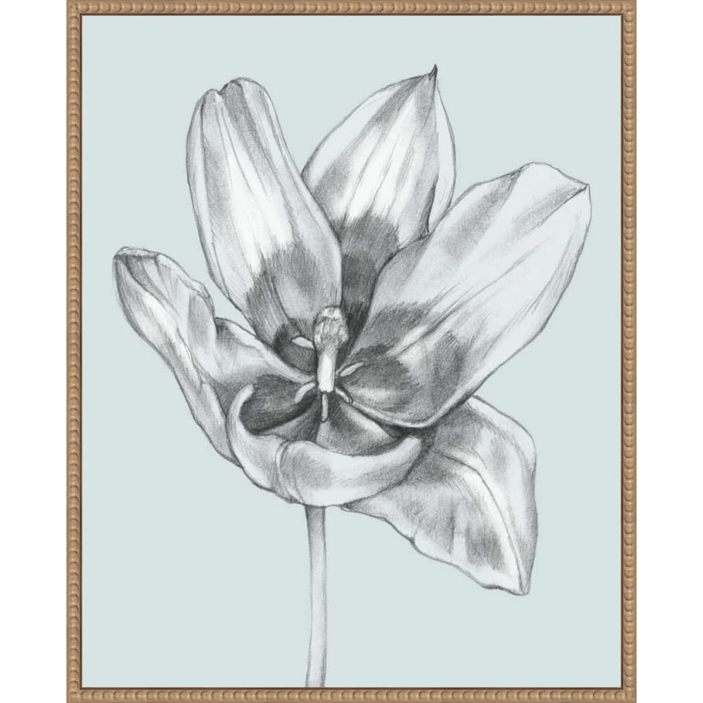 Silvery Blue Tulips No. 2 by Jennifer Goldberger (23 x 28 in.), Framed Canvas Wall Art Print