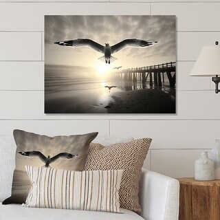 Designart "Beach Seagull In Flight At Sunset" Animals Metal Wall Art ...