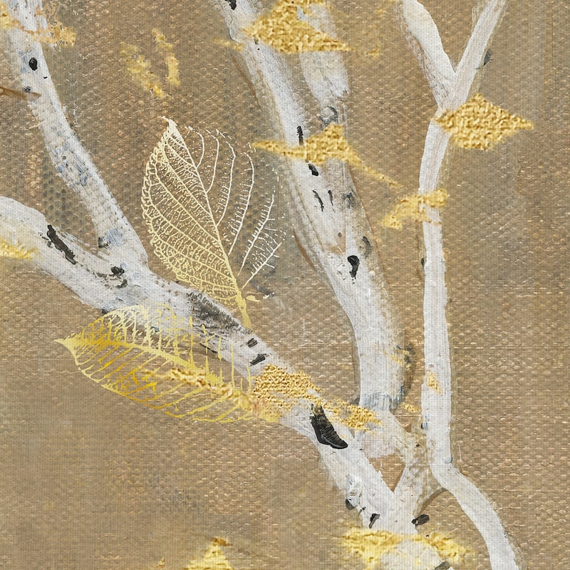 Birch Wood III by Susan Jill Canvas Art Print
