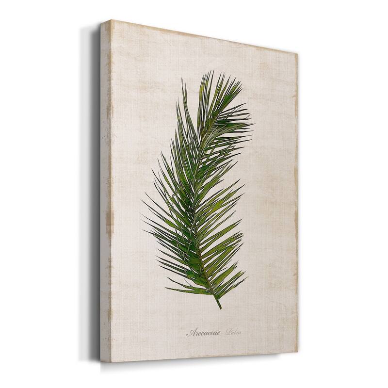 Palm Botanical II Premium Gallery Wrapped Canvas - Ready to Hang