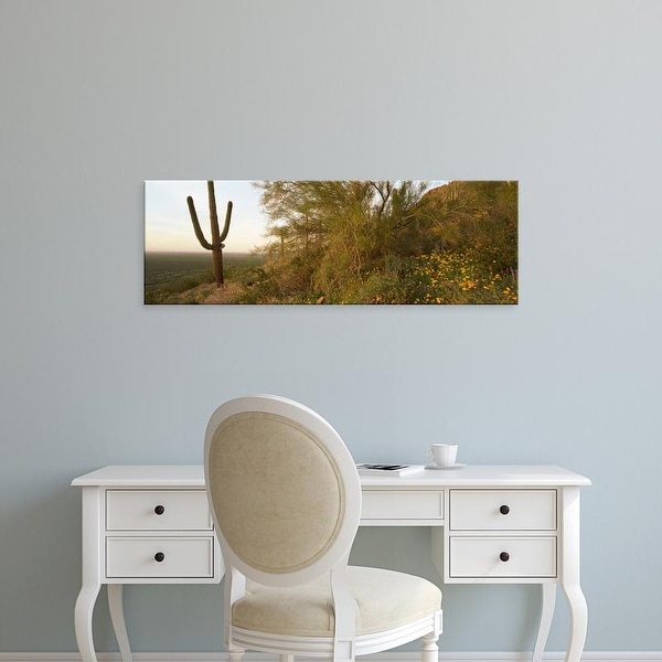 Easy Art Prints Panoramic Images's 'Cactus in desert, Picacho Peak State Park, Arizona, USA' Premium Canvas Art