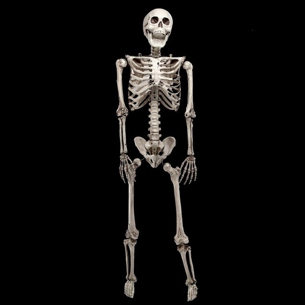 2 Piece 6 ft Life Size Jointed Skeleton Halloween Party Haunted Decoration Props 