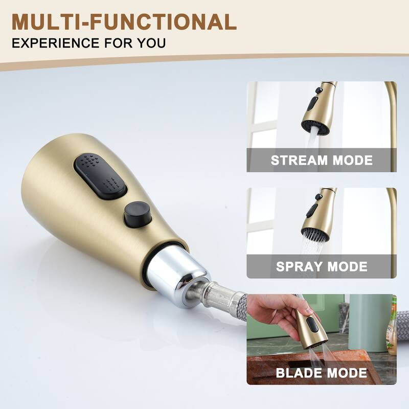 Single-Handle Kitchen Sink Faucet With Pull-Out Sprayer