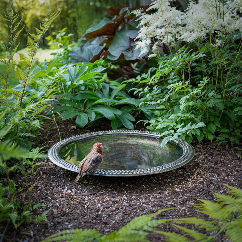 18" Beaded Copper Birdbath Basin in Aged Brass Finish