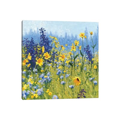 iCanvas 'Joyful in July III' by Shirley Novak Canvas Print