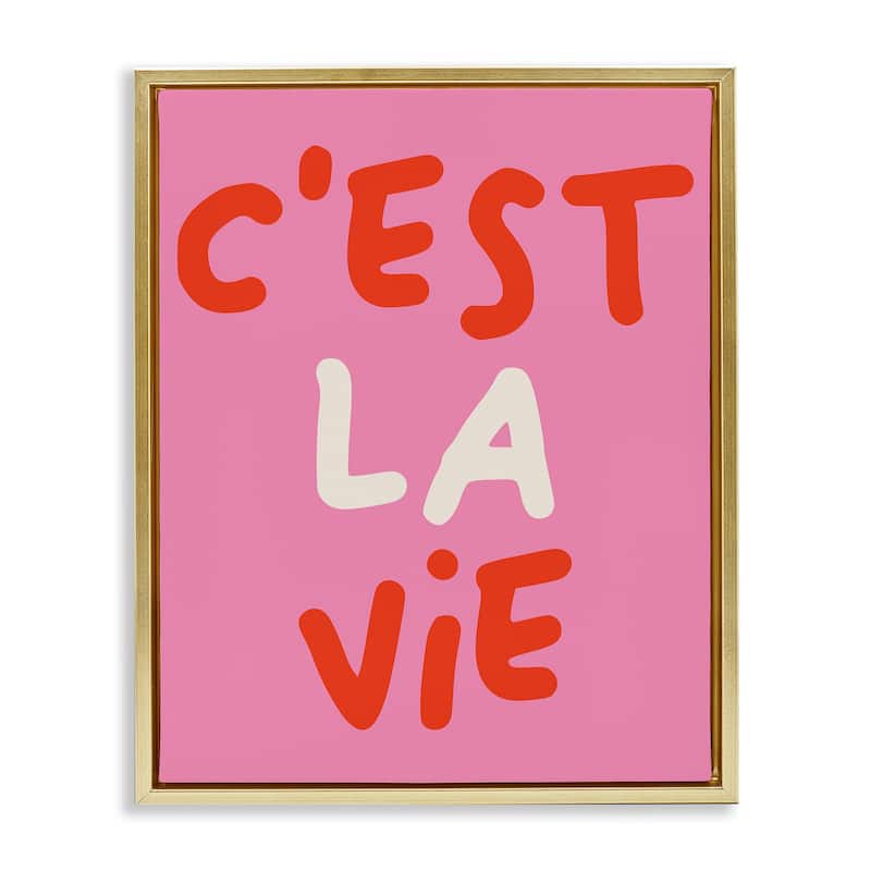 Stupell C'est La Vie on Pink Framed Floater Canvas Wall Art Design By House of Lulu - 17 x 21 - Gold
