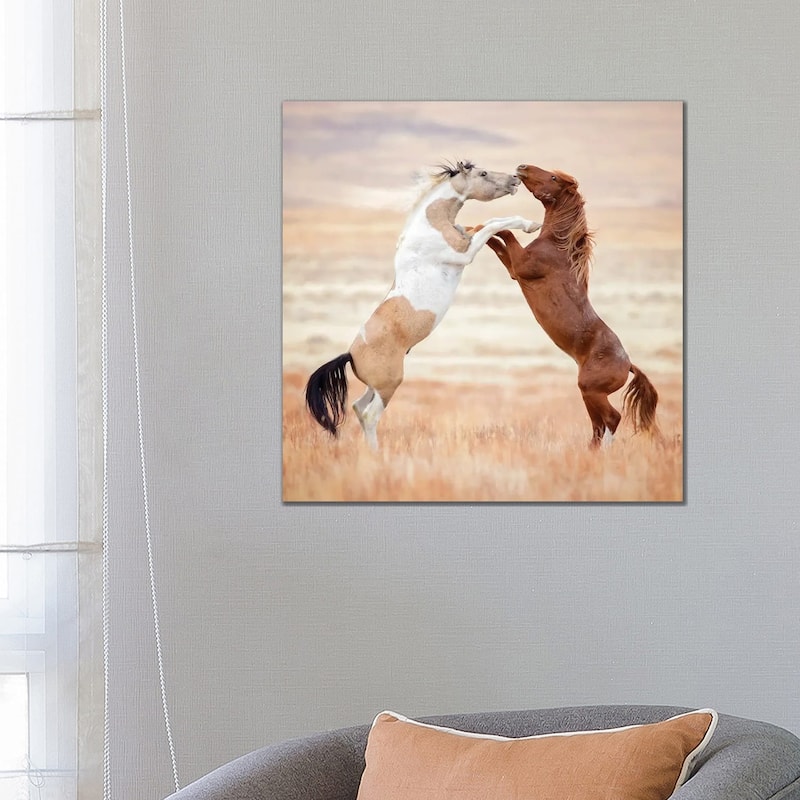 iCanvas "Collection of Horses VIII" by PHBurchett Canvas Print - 26x26x1.5