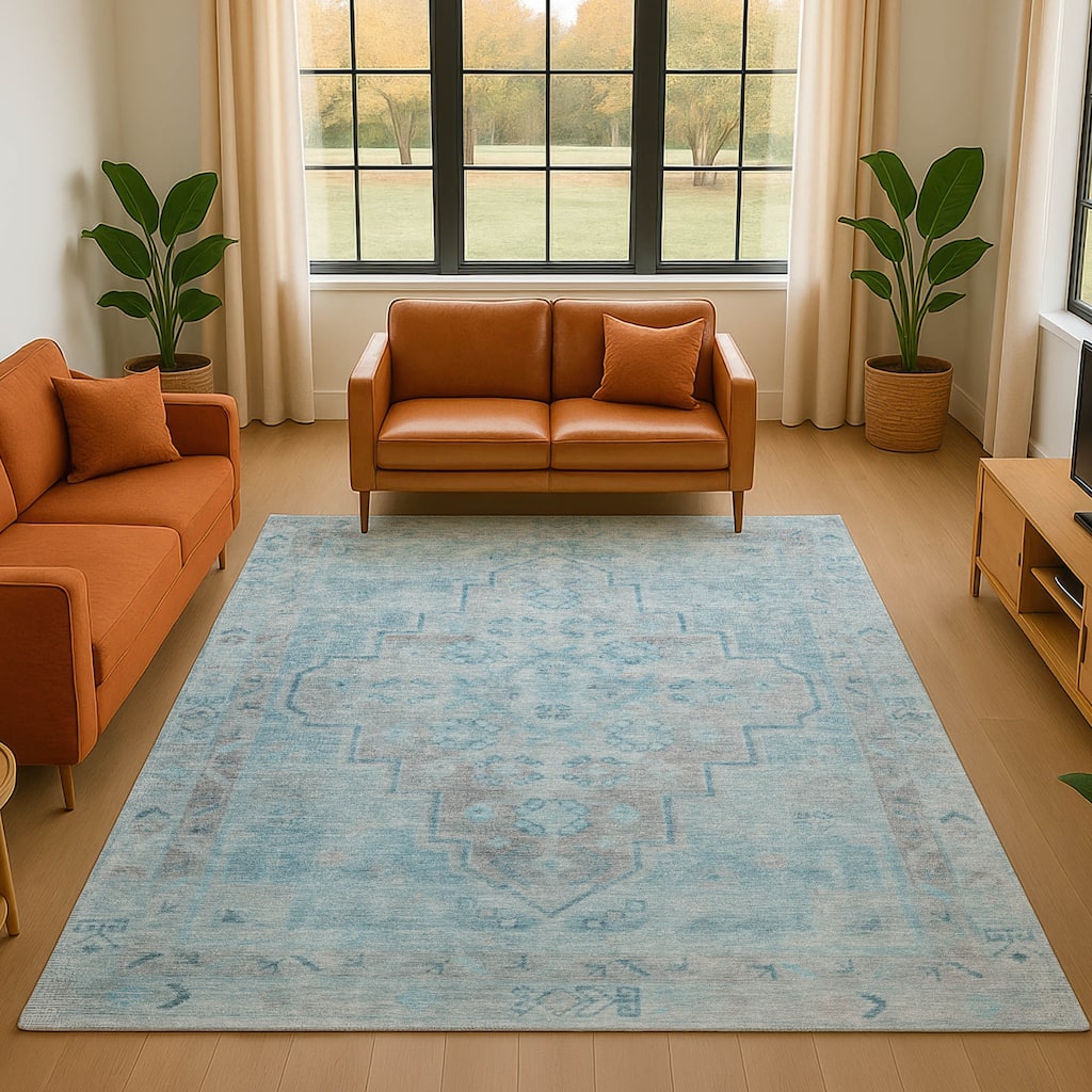 Premium Washable Super Soft Vintage Traditional Mayfield Rug