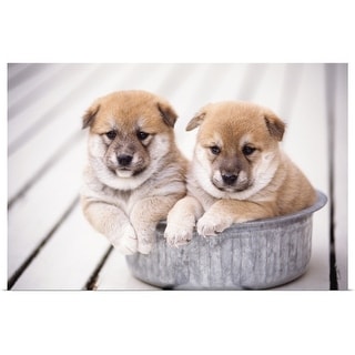 Shiba Inu Puppies In Aluminum Tub Multi Color Overstockcom Shopping The Best Deals On Unframed Prints