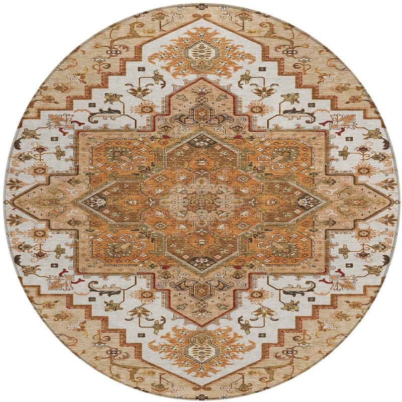 HomeRoots Oriental Traditional Rectangle Outdoor Rug