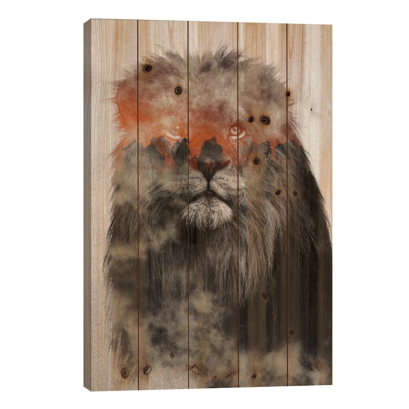 Lion Print On Wood by Andreas Lie - Multi-Color - 40x26x1.5