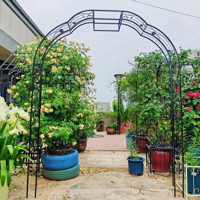 Anmytek Metal Garden Arch with Intricate Scrollwork, Weather Resistant Black Finish, Climbing Plant Trellis for Roses, Clematis