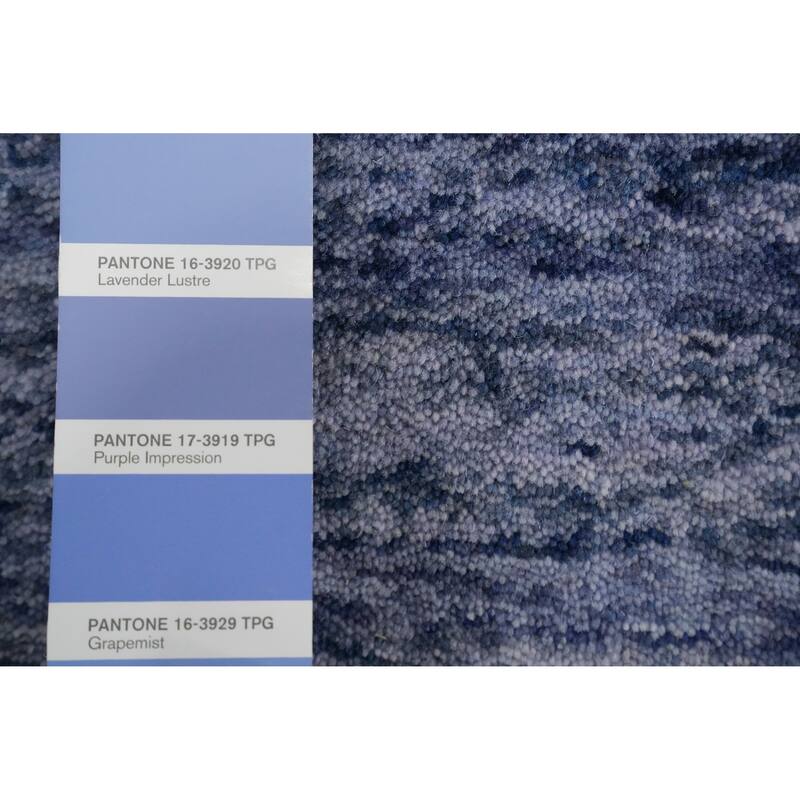 Hand Knotted Oriental 100% Wool Carpet Tribal Animal Pictorial Navy Blue & Blues Gabbeh Area Rug - 12' 0'' X 12' 3''