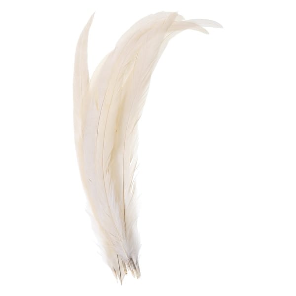 14-16 Inch Rooster Feathers, 20 Pack Bulk Natural Feathers Style 1