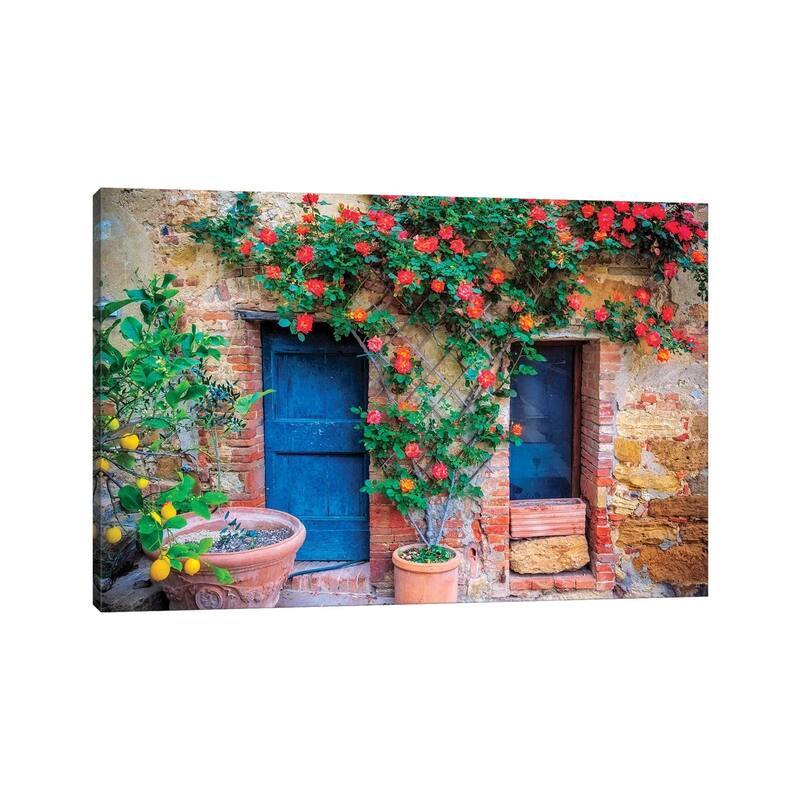 iCanvas "Italy, Val d' Orcia. two doors with vegetation " by Jaynes Gallery Canvas Print