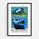 Blue Poison Dart Frog Dendrobates tinctorius azureus Art Print/Poster ...