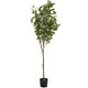 preview thumbnail 7 of 14, Green Faux Foliage Eucalyptus Artificial Tree with Realistic Leaves and Black Plastic Pot