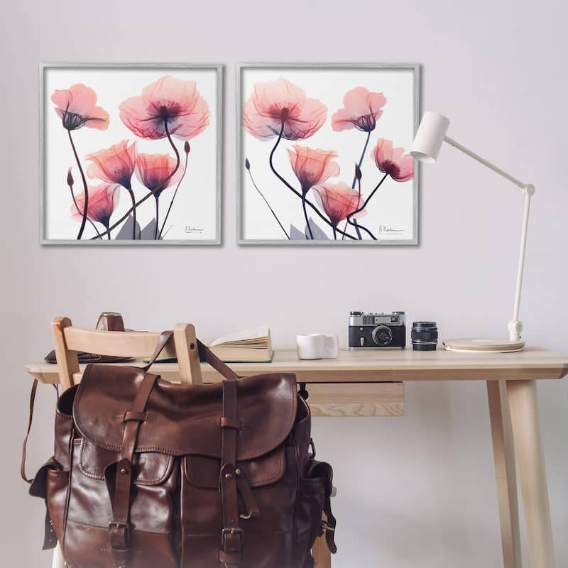 Stupell Various Faded Pink Flowers Framed Giclee Art Design By Albert Koetsier (Set of 2)