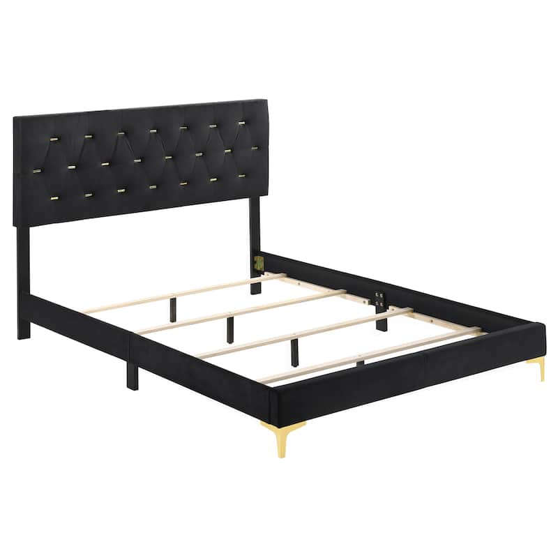 Luxury Black Velvet Upholstered Queen Bed with Gold Accents