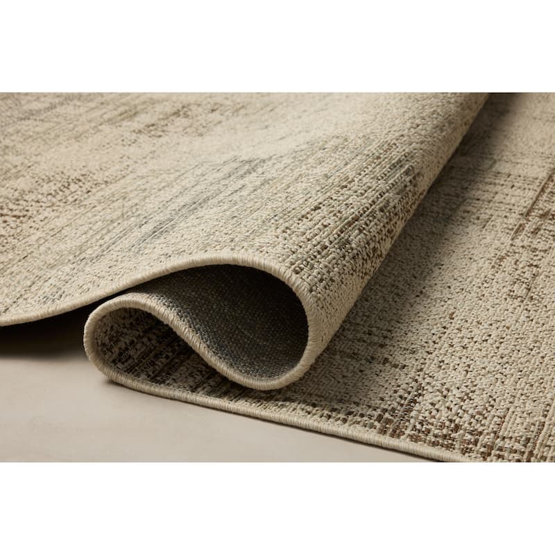 Alexander Home Saoirse Indoor/Outdoor Area Rug