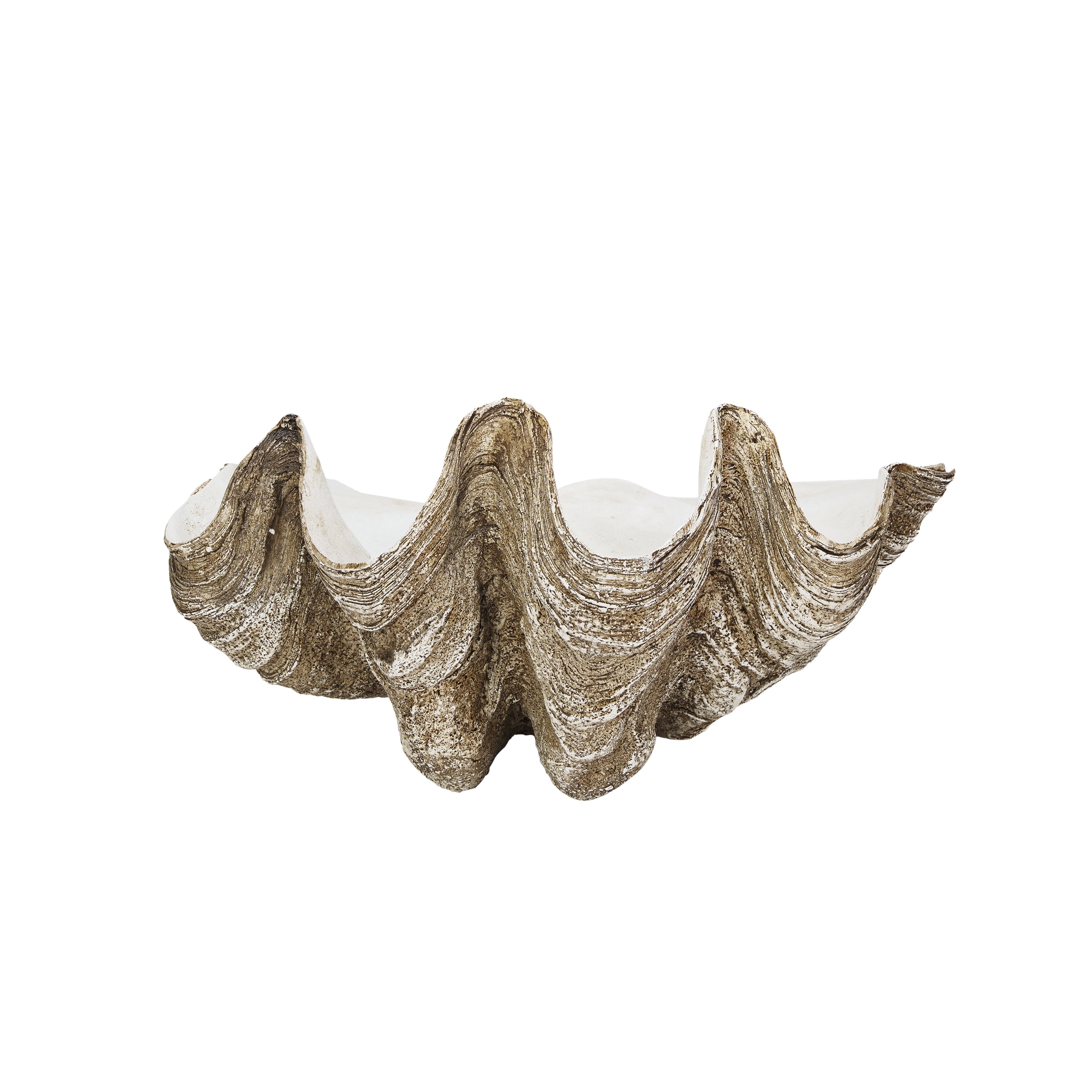 Decorative Resin Clam Wall Bowl 14.4 L x 9.6 W x 7.5 H Beige