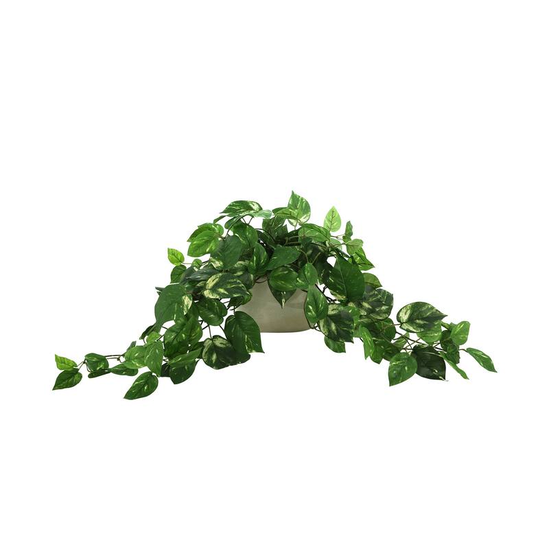 Pothos Arrangement in Ceramic Pot