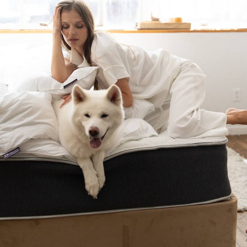 Lincove Hybrid and Memory Foam Mattress - CertiPUR-US Certified, Medium Firm, Pressure Relief, 12 Inch Spring - Made in USA