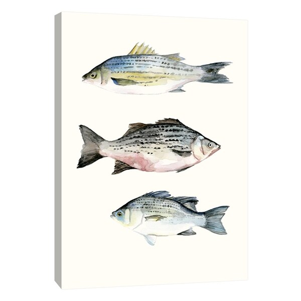 PTM Images 9-108716 PTM Canvas Collection 10" x 8" - "Fish Grouping 2" Giclee Fishes Art Print on Canvas