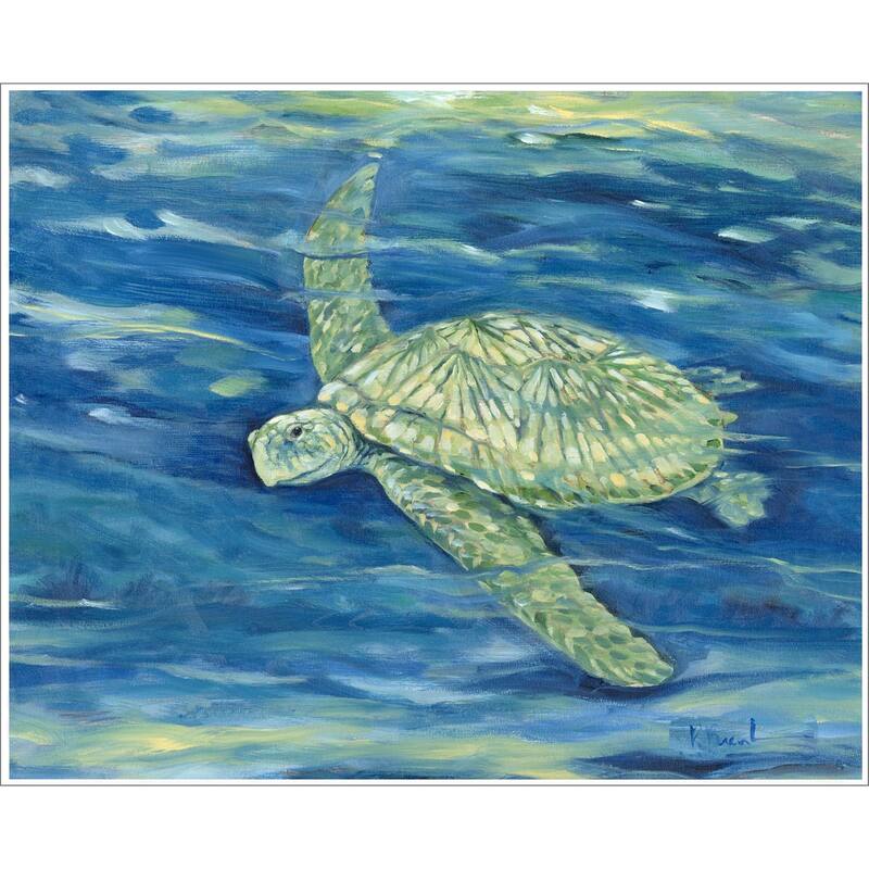Lagoon Turtle II Giclee on Canvas No Glass - 25 X 31 X 3 - Plastic - White