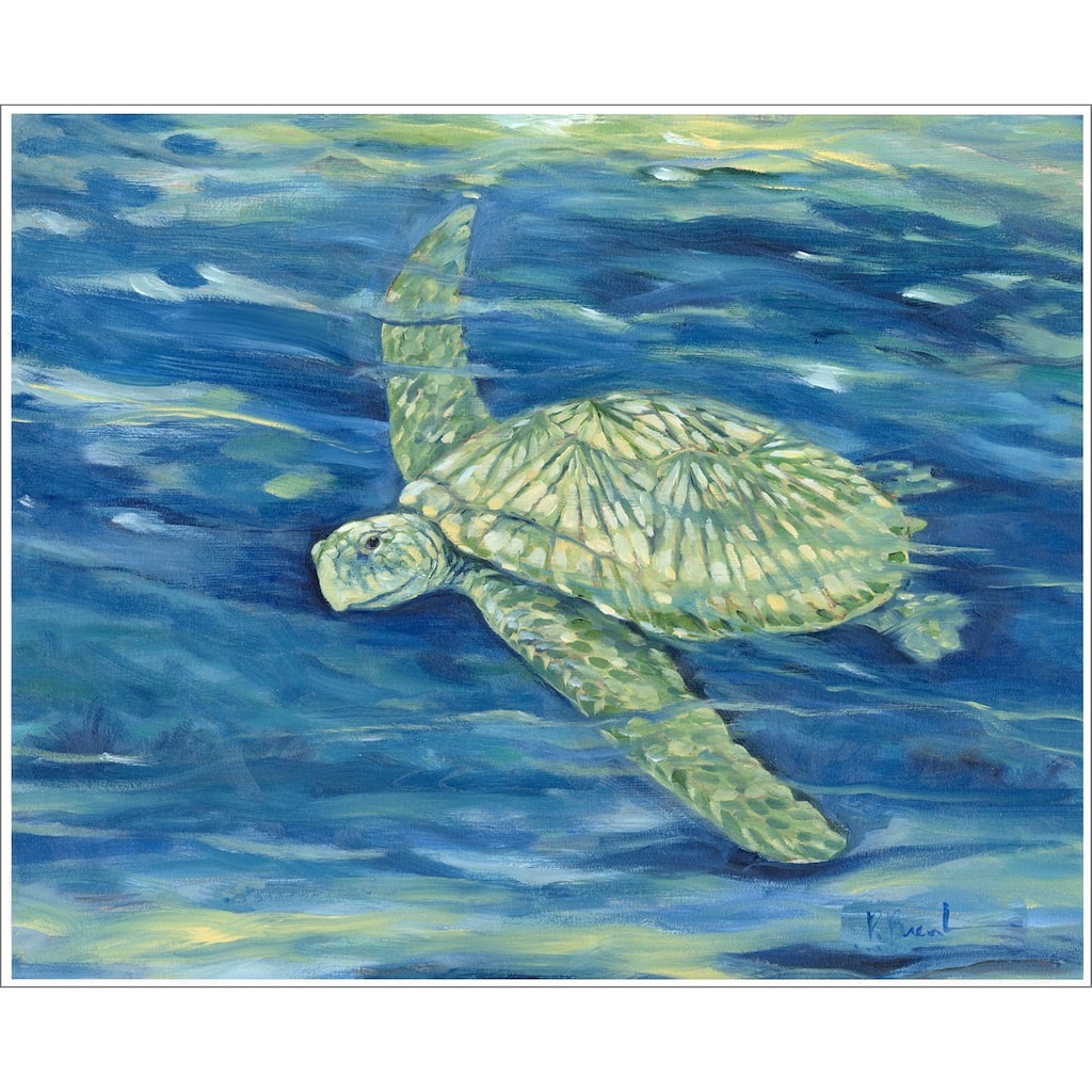 Lagoon Turtle II Giclee on Canvas No Glass