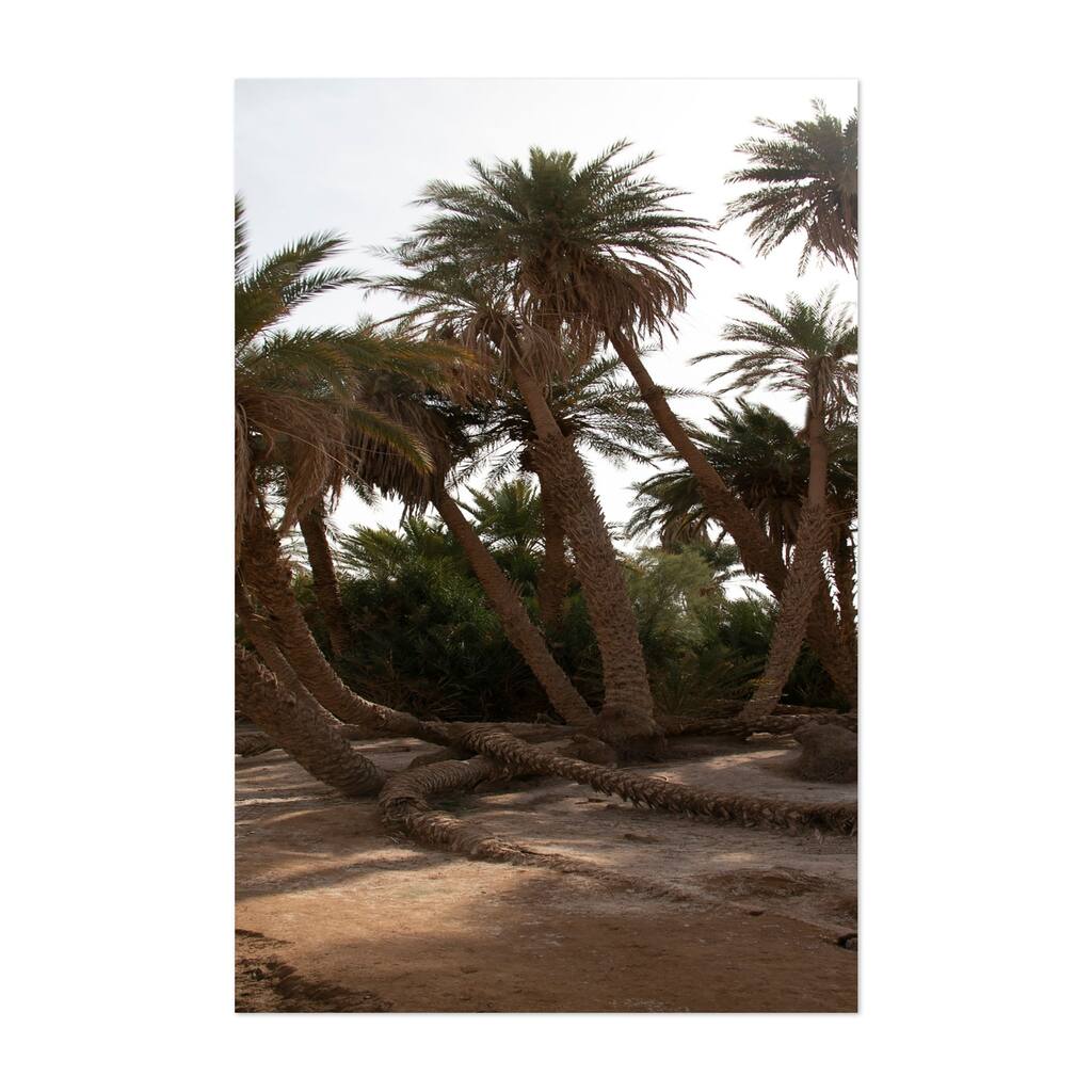 Sahara Desert Photography Dunes Landscape Nature Art Print/Poster